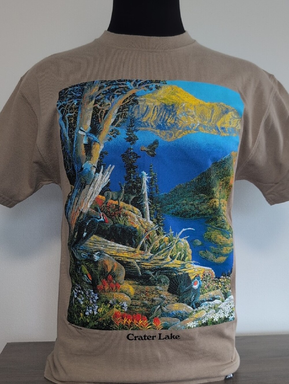 Nike ACG S Short Sleeve Tee with Multicolor Crater Lake Scenic Print